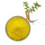 Pure Nature Scutellaria Baicalensis Root Extract Powder Baicalin 85%
