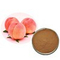 High Quality Peach Kernel Extract Peach Seed Extract Powder