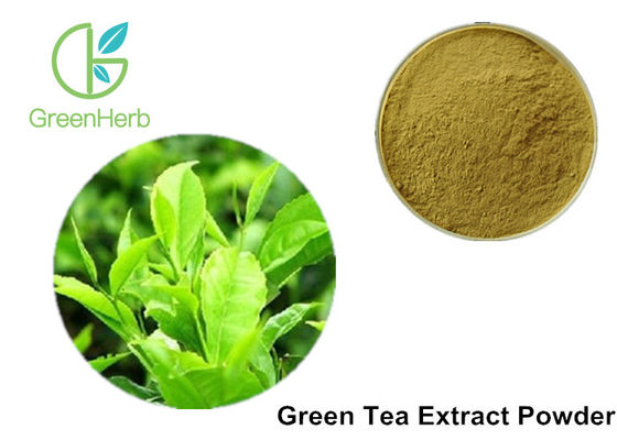 100%の化粧品/食糧のための純粋な緑茶のエキスの粉の反細菌