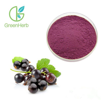 濃紫色の赤いクロ スグリのエキスの粉の健康食品は紫外線テストを補います